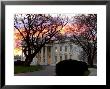 The Early Morning Sunrise Warms Up The Winter Sky Behind The White House January 10, 2002 by Ron Edmonds Limited Edition Pricing Art Print