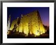 Ancient Temple At Night, Luxor, Egypt by Wayne Walton Limited Edition Pricing Art Print