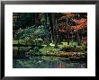 Saiho-Ji Garden In Autumn, Kyoto, Japan by Frank Carter Limited Edition Print