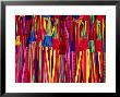 Hammocks Displayed For Sale At Market, Barranquilla, Colombia by Krzysztof Dydynski Limited Edition Pricing Art Print