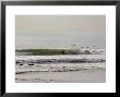 Nice Waves And Surfer Getting Barreled At Faria Beach, California by Rich Reid Limited Edition Print