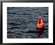 Red Buoy Marked With Number Eight Floating On Calm Seas by Todd Gipstein Limited Edition Pricing Art Print