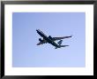 Plane Takes Off, Washington, D.C. by Stacy Gold Limited Edition Print