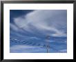 Power Line Against The Sky, California by John Burcham Limited Edition Print