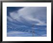 Power Line Against The Sky, California by John Burcham Limited Edition Pricing Art Print
