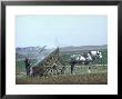 French Farmer Laying Compost On His Field From A Cart Drawn By A Percheron Horse by Loomis Dean Limited Edition Print