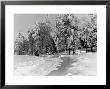 Snow Covering Countryside Near Lake Ladoga by Carl Mydans Limited Edition Print