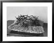 Crown Of Thorns Worn By Actor In The King Of Kings From Prop Collection Of Cecil B. Demille by Ralph Crane Limited Edition Pricing Art Print