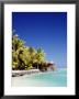 Palm Trees And Tropical Beach, Aitutaki Island, Cook Islands, Polynesia by Steve Vidler Limited Edition Print