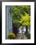 Market Street Historic Houses, Lexington, Kentucky by Walter Bibikow Limited Edition Print