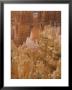 Thor's Hammer, Bryce Canyon National Park, Utah, United States Of America, North America by Jean Brooks Limited Edition Print