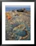 Nets And Boats On The Beach, Aldeburgh, Suffolk, England, United Kingdom by Brigitte Bott Limited Edition Print