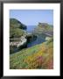 Boscastle Harbour, Boscastle, Cornwall, England, United Kingdom by Roy Rainford Limited Edition Print