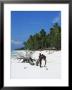 Zanzibari Boys Playing On Pingwe Beach, Zanzibar, Tanzania, East Africa, Africa by Yadid Levy Limited Edition Print