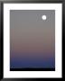 Sandhill Cranes Moon Flying Under Full Moon At Twilight by Arthur Morris Limited Edition Pricing Art Print