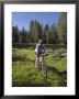 Woman Moutain Biking In Smith Meadows by Rich Reid Limited Edition Pricing Art Print