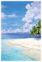 Summer Afternoon by Richard Shaffett Limited Edition Print