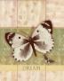 Dream by Krissi Limited Edition Print