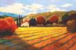 Autumn Vineyard by Kanayo Ede Limited Edition Print