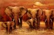 Bull Elephants by Kanayo Ede Limited Edition Pricing Art Print