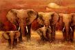 Bull Elephants by Kanayo Ede Limited Edition Print