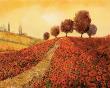 La Colina Dei Papaveri by Guido Borelli Limited Edition Pricing Art Print