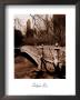 Central Park Bridge Ii by Christopher Bliss Limited Edition Pricing Art Print