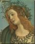 Minerva (Detail) by Sandro Botticelli Limited Edition Pricing Art Print