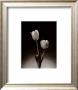 Red Tulips by Elizabeth King Brownd Limited Edition Print