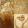 Tulip Manuscripts Ii by Elizabeth Jardine Limited Edition Print