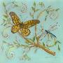 Butterfly Turquoise by Kate Mcrostie Limited Edition Pricing Art Print