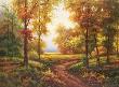 Early Autumn Path by Lazzara Limited Edition Print