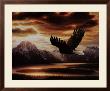 Bald Eagle by Ronnie Hedge Limited Edition Print