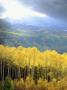 Sunset Over Mount Wilson With Fall Colored Aspen Trees, Colorado, Usa by Christopher Talbot Frank Limited Edition Print