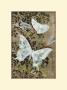 Batik Garden Iv by Jennifer Goldberger Limited Edition Pricing Art Print