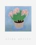 Pink Hyacinth by Aline Porter Limited Edition Print