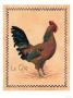 Le Coq Ii by Elizabeth Garrett Limited Edition Pricing Art Print