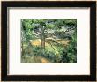 The Large Pine, 1895-97 by Paul Cezanne Limited Edition Print