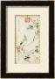 A Phoenix Standing On A Chinese Parasol Tree, 1890 by Cixi Limited Edition Print