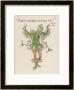 Holly Personified by Walter Crane Limited Edition Pricing Art Print