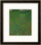 A Field Of Poppies, 1907 by Gustav Klimt Limited Edition Print
