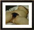 The Origin Of The World by Gustave Courbet Limited Edition Print
