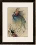 The Girl The Tree And The Bird Of Paradise by Warwick Goble Limited Edition Print