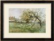 T. Hodgson Liddell Pricing Limited Edition Prints