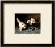 White Angora Kittens With A Beetle by Arthur Heyer Limited Edition Pricing Art Print