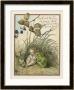 Croak Said The Frog by Eleanor Vere Boyle Limited Edition Pricing Art Print