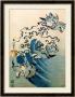 Waves And Birds, Circa 1825 by Katsushika Hokusai Limited Edition Print