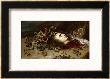 The Head Of Medusa, Circa 1618 by Peter Paul Rubens Limited Edition Print