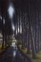 Maison Au Bord De La Riviere by Jacques Deperthes Limited Edition Print
