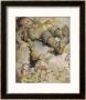 Hop O' My Thumb And The Sleeping Giant's Boots by Anne Anderson Limited Edition Print